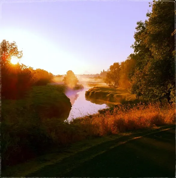 Nearby landmark: Salmon Creek Regional Park in Salmon Creek, east of Felida