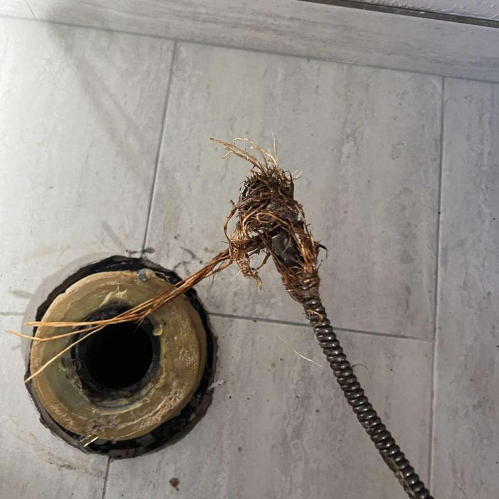 Clogged Drain Cleaning