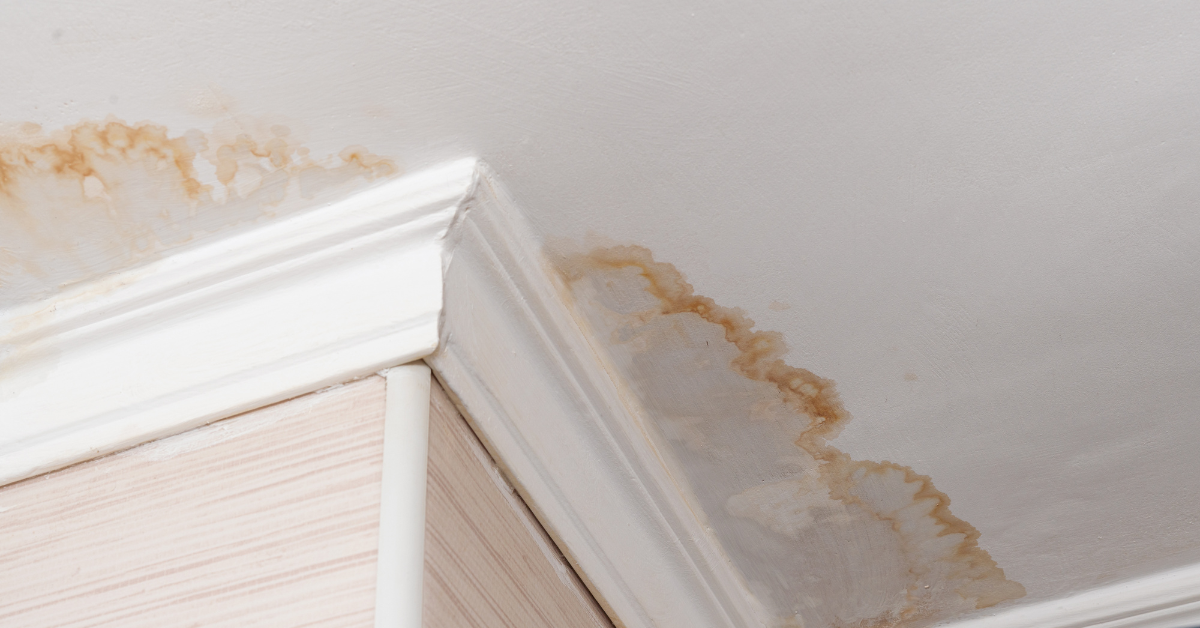 Detecting Hidden Water Leaks Before They Become Emergencies