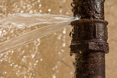 Felida Local Plumbing Company