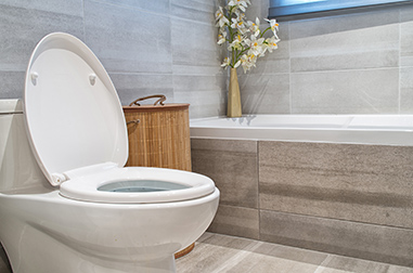 Vancouver Local Toilet Installers