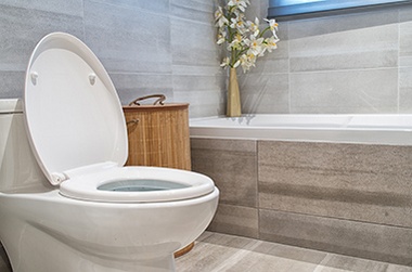 Longview Toilet Repair