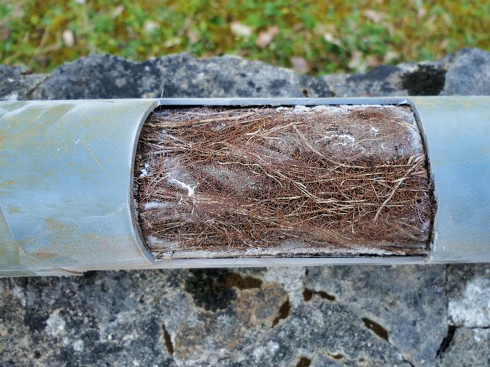 Battle Ground Tree Root Removal